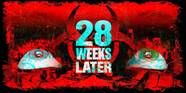 Why 28 Weeks Later Is A Good Sequel
