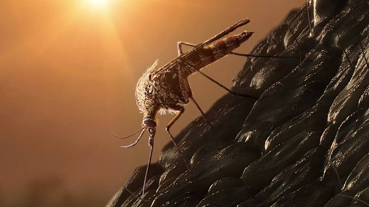 jurassic-world-dominion-mosquito