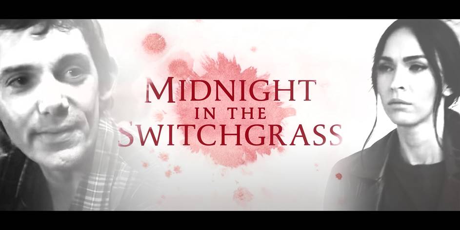 Switchgrass midnight in the Midnight In