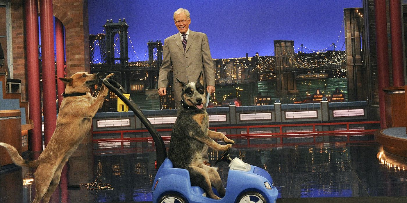 late-show-with-david-letterman-stupid-pet-tricks-social-featured