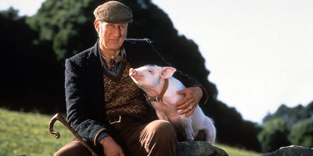 Farmer Arthur Hoggatt and Babe the pig posing for a promo photo for the film Babe.