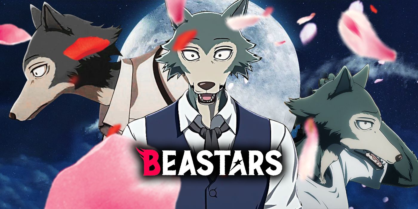 Beastars Anime 4K Phone iPhone Wallpaper #2311c