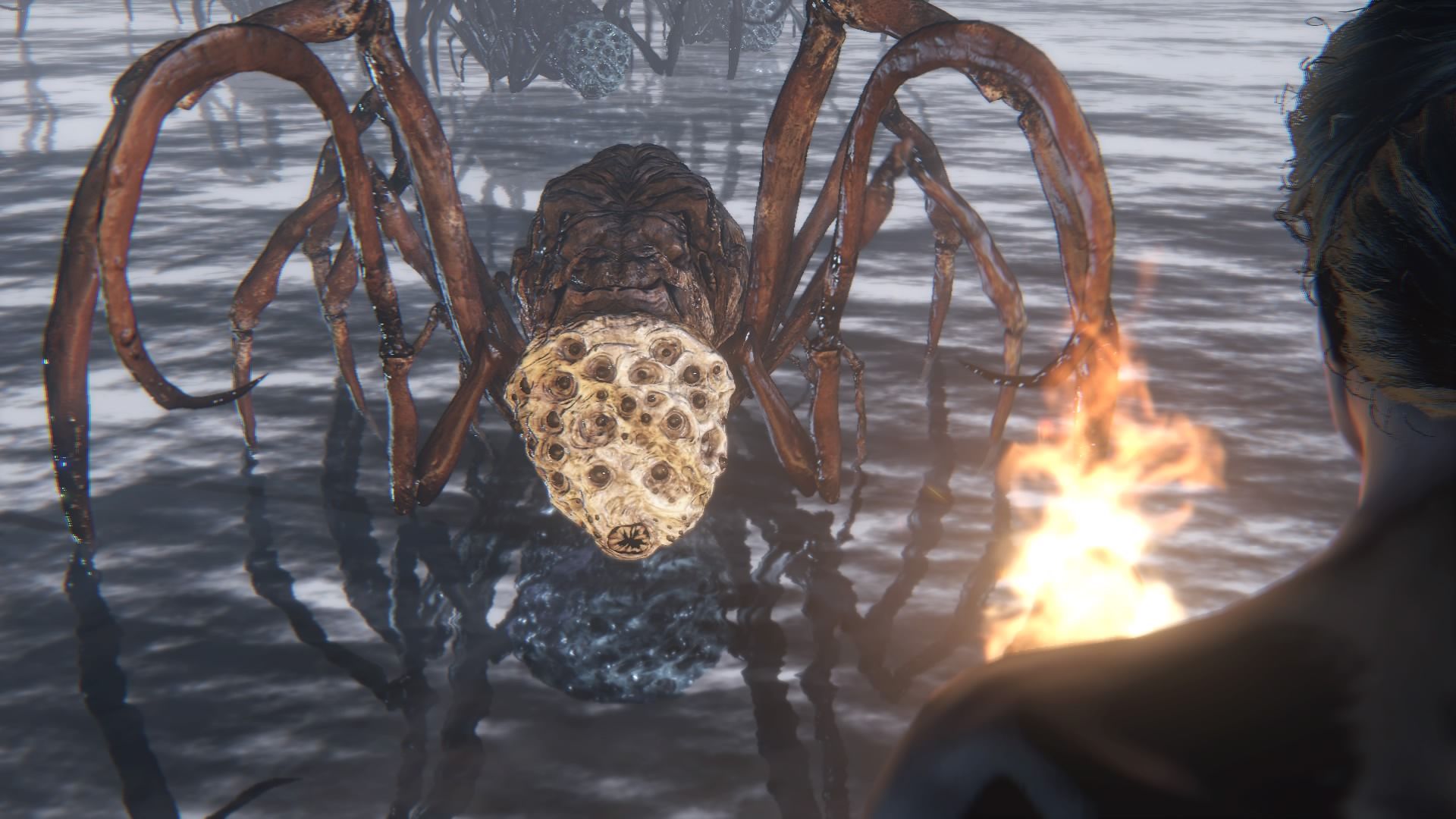 bloodborne-bosses-ranked-rom-the-vacuous-spider
