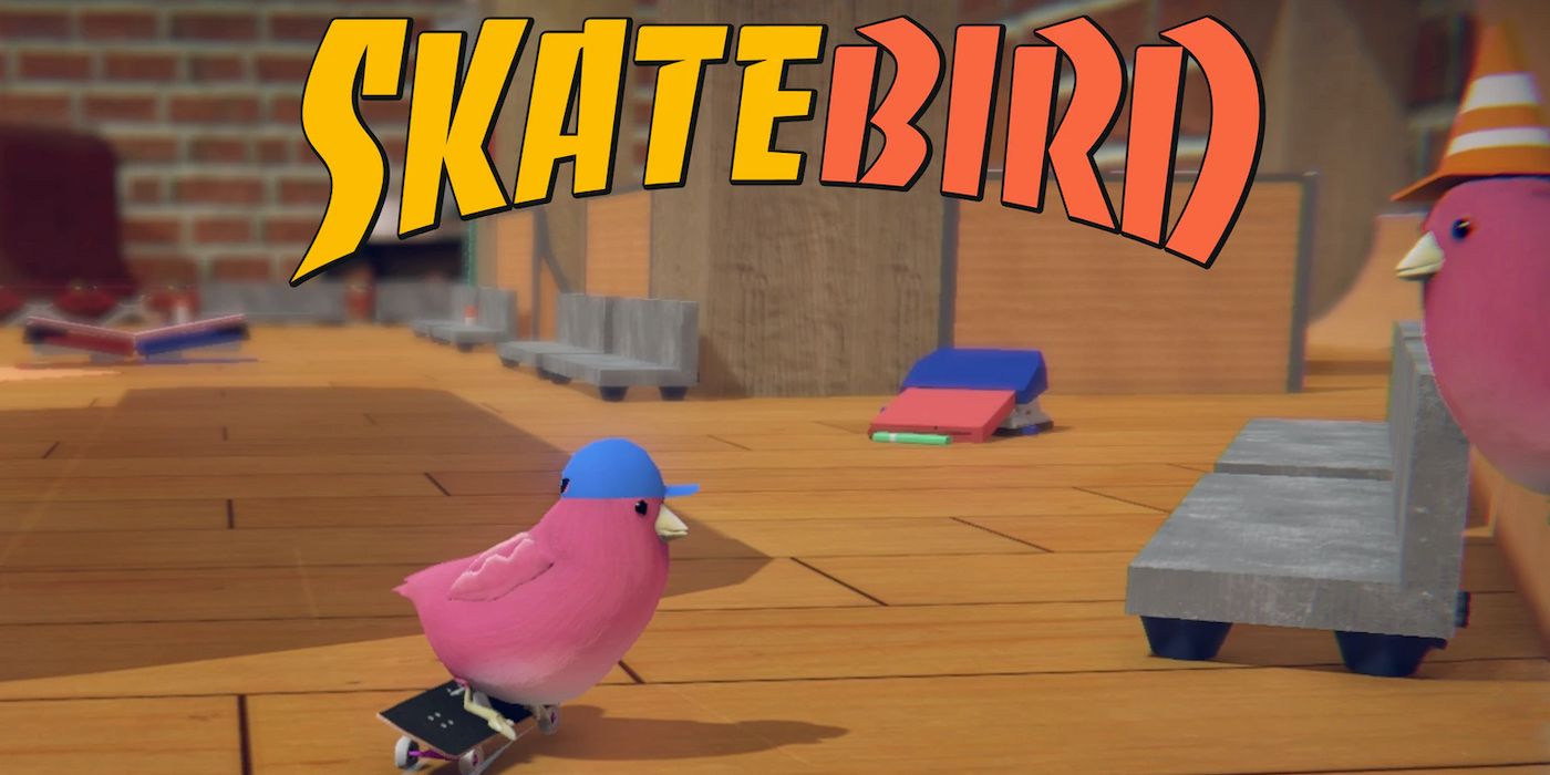skatebird video