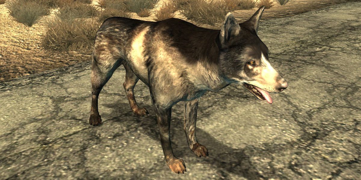 Dogmeat in Fallout 3