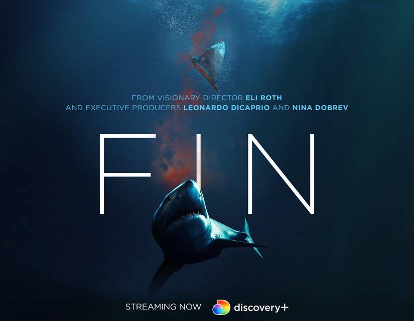Eli Roth on Fin and Why It’s So Important We Save Sharks