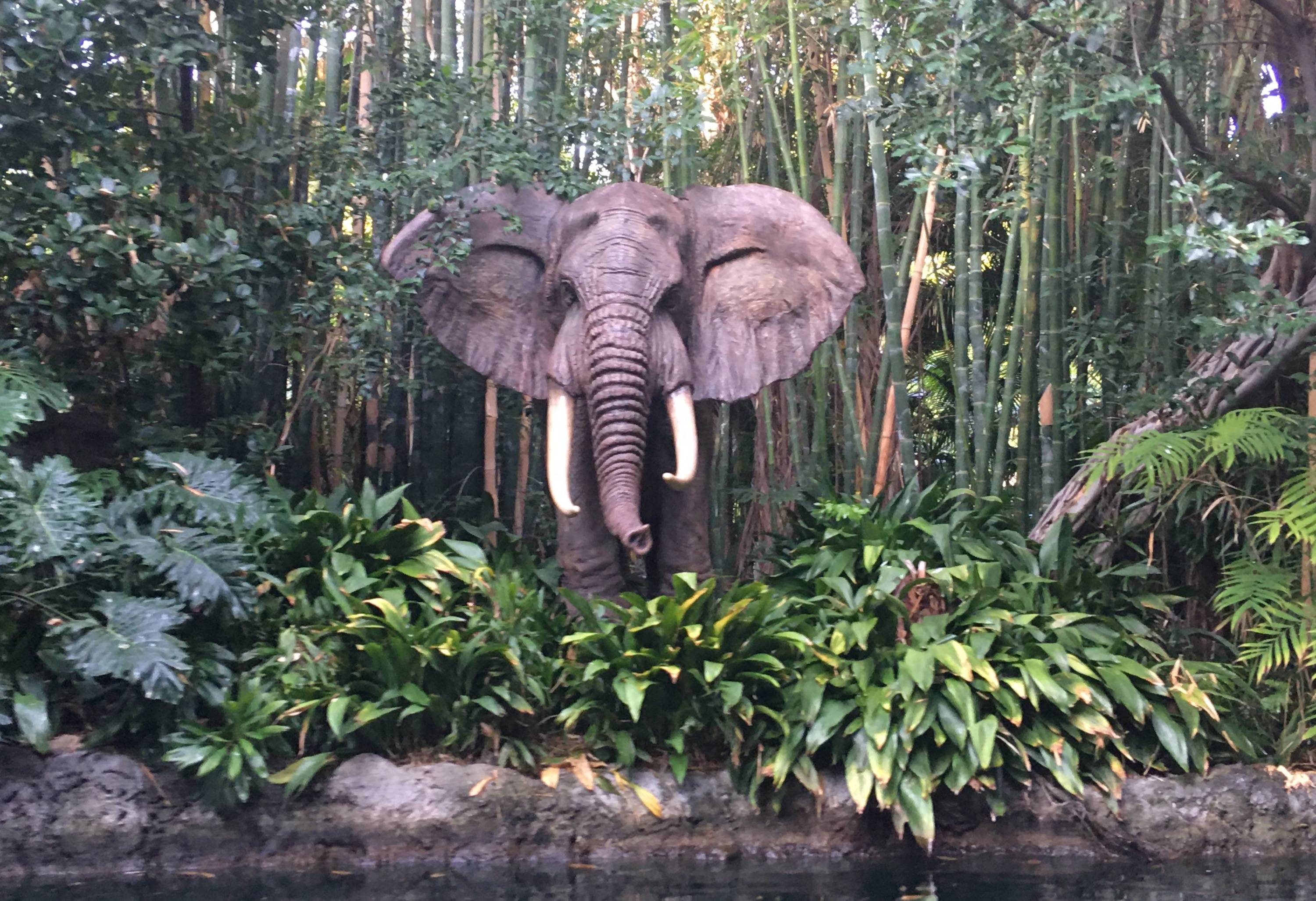 Jungle Cruise Ride Reopens At Disneyland With Updates And Easter Eggs