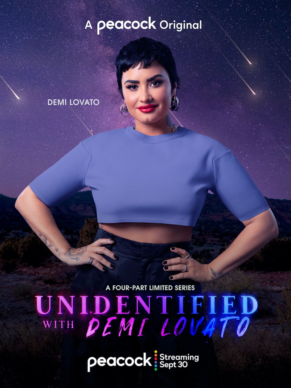 unidentified-with-demi-lovato-character-portrait