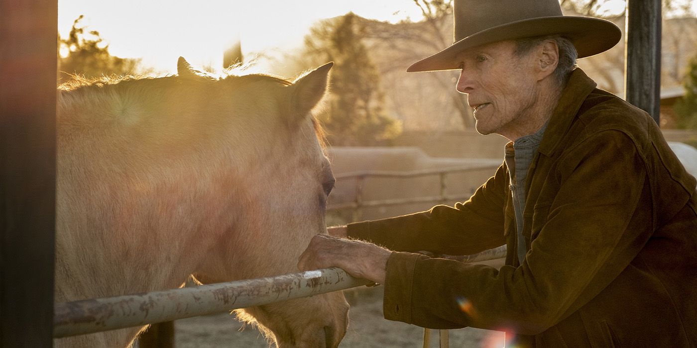 Clint Eastwood avec un cheval dans Cry Macho