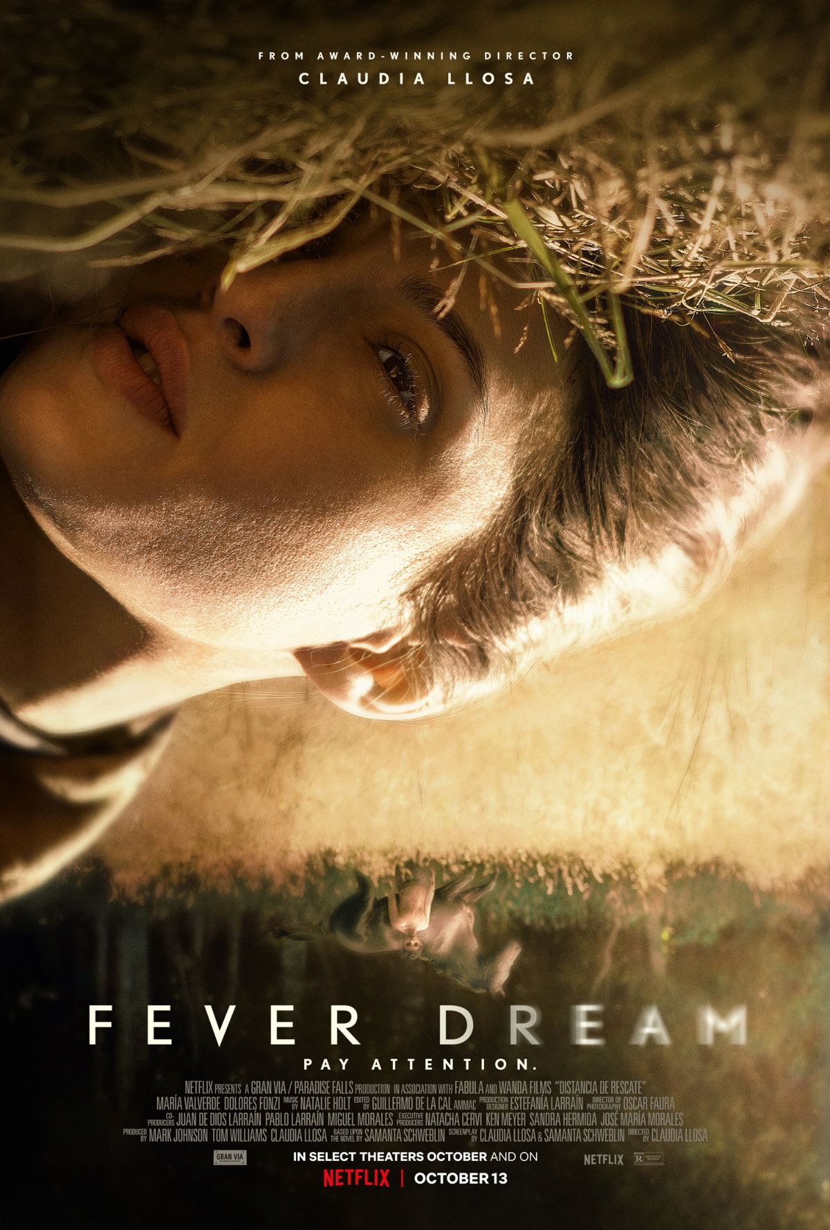 fever-dream-netflix-poster