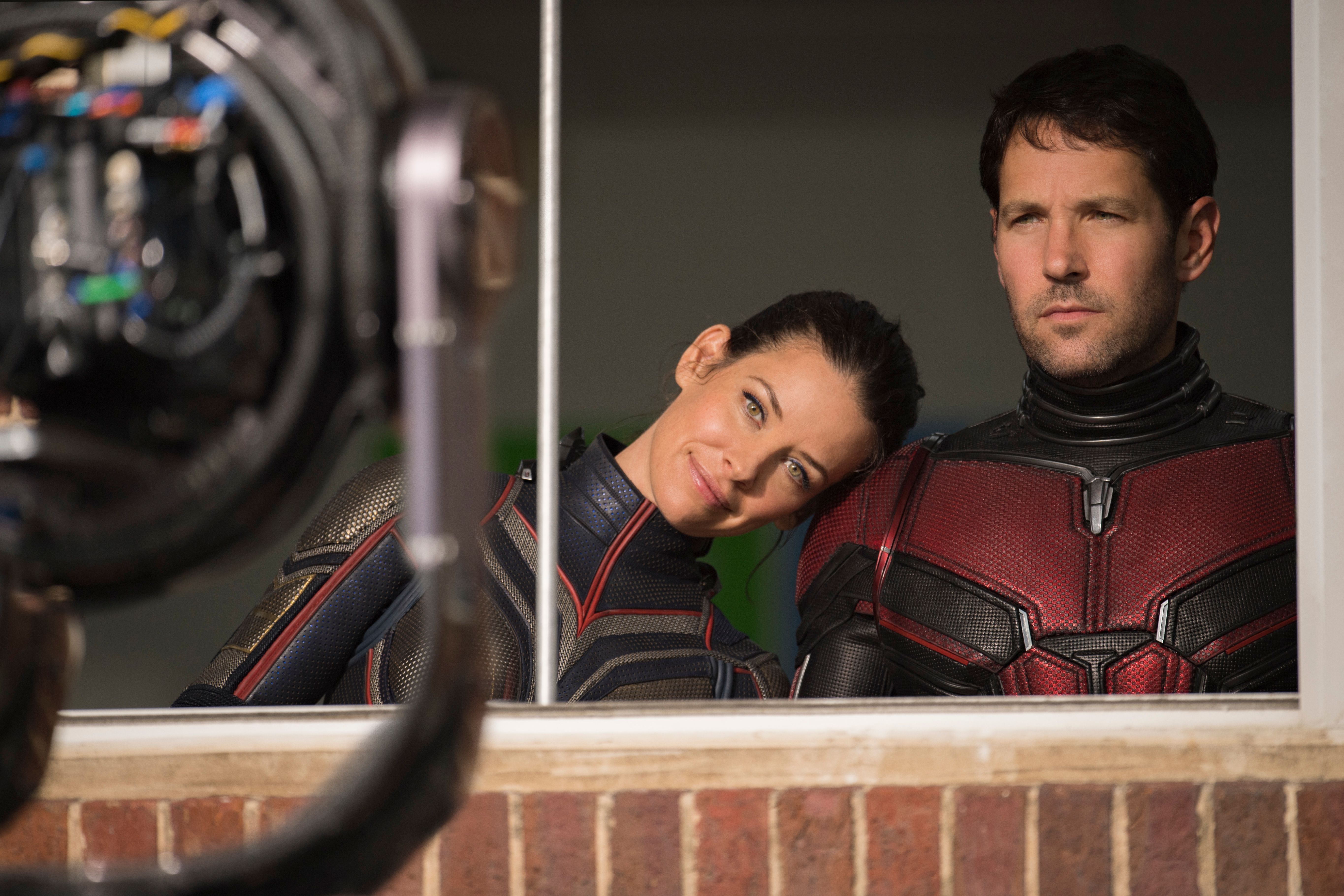 ant-man-and-the-wasp paul rudd Evangeline Lilly