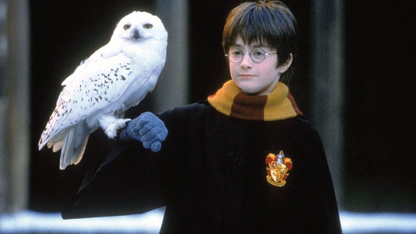 Harry-Potter-Daniel-Radcliffe-1