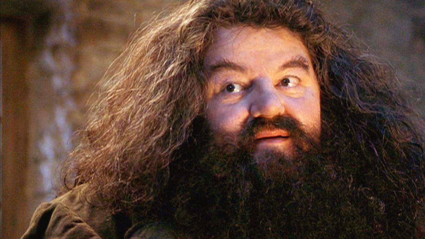 Harry-Potter-Hagrid
