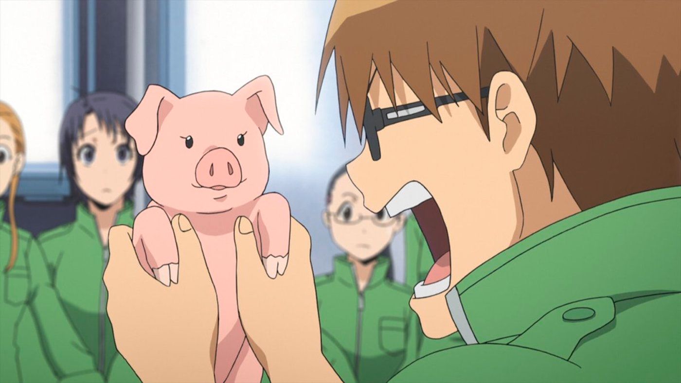 Silver-Spoon-anime-pig