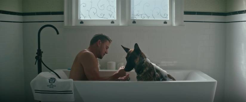 Briggs un Lulu Malinois suns sēž kopā vannā, kas pilna ar burbuļiem