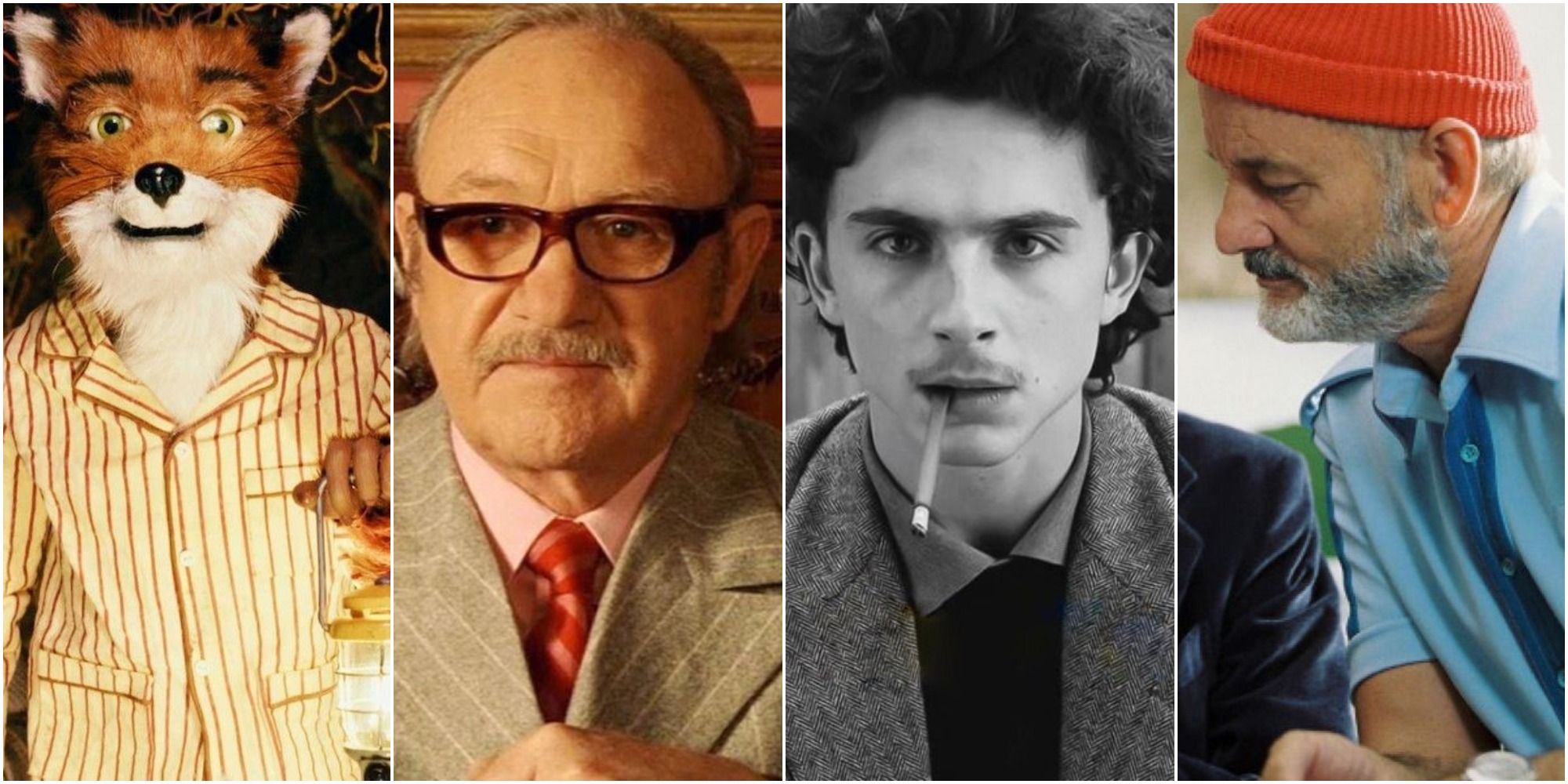 Fantastic Mr. Fox from 'Fantastic Mr. Fox', Royal Tenenbaum from 'The Royal Tenenbaums', Zeffirelli from 'The French Dispatch', and Steve Zissou from 'The Life Aquatic'