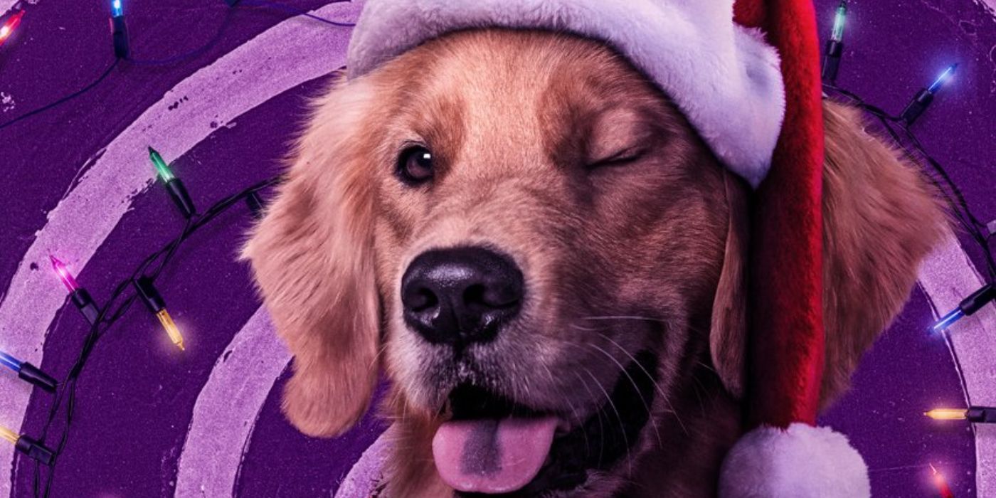 Hawkeye: Who Is Lucky the Pizza Dog? The MCU's Goodest Boy, Explained