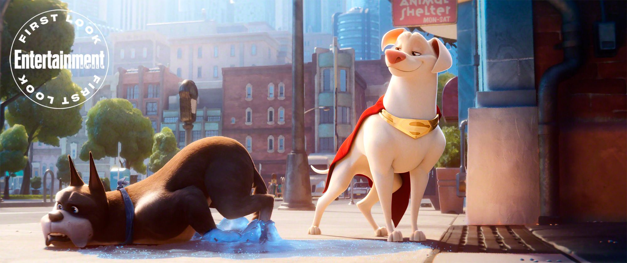 DC's Super Pets: First Look at Krypto the Superdog In Animated Movie  Revealed
