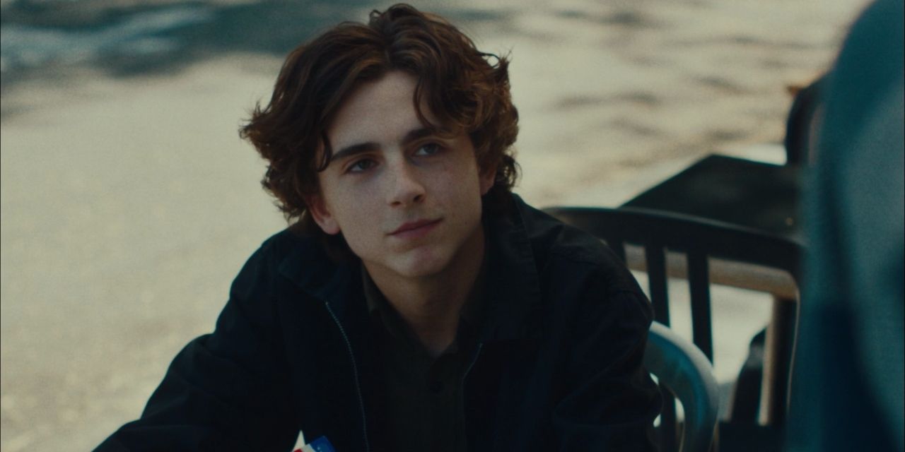 Kyle, played by Timothee Chalamet in Lady Bird