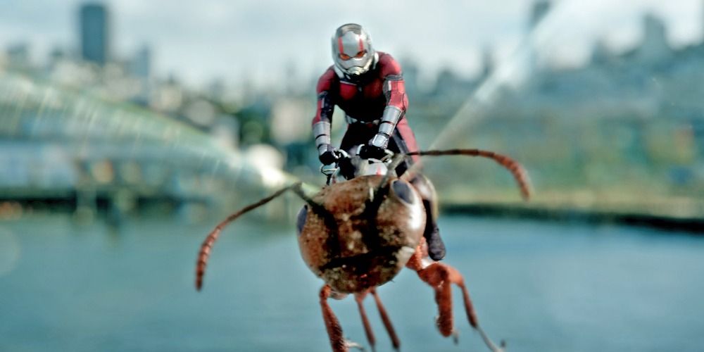 Ant Man Riding an Ant