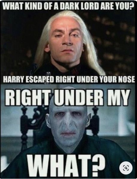 Harry-Potter-Meme-15