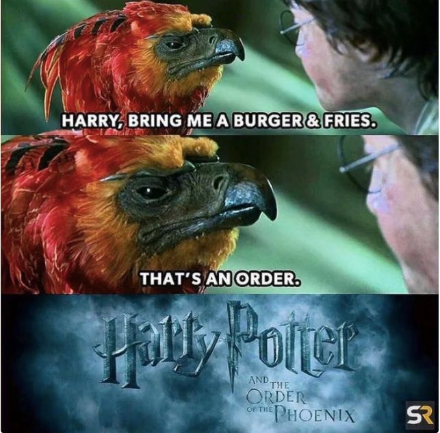 Harry-Potter-Meme-16