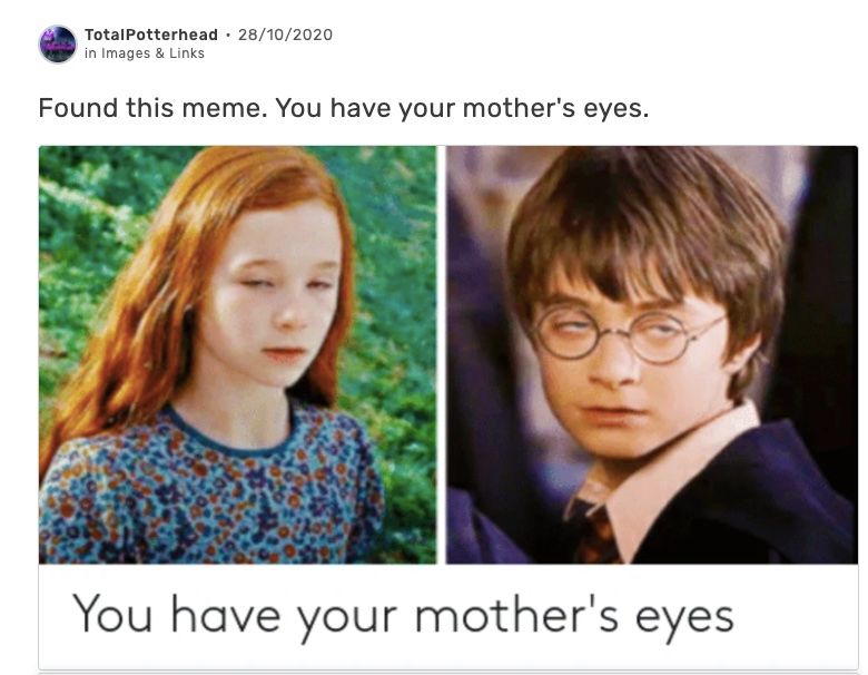 Harry-Potter-meme-2