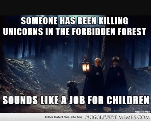 Harry-Potter-meme-6