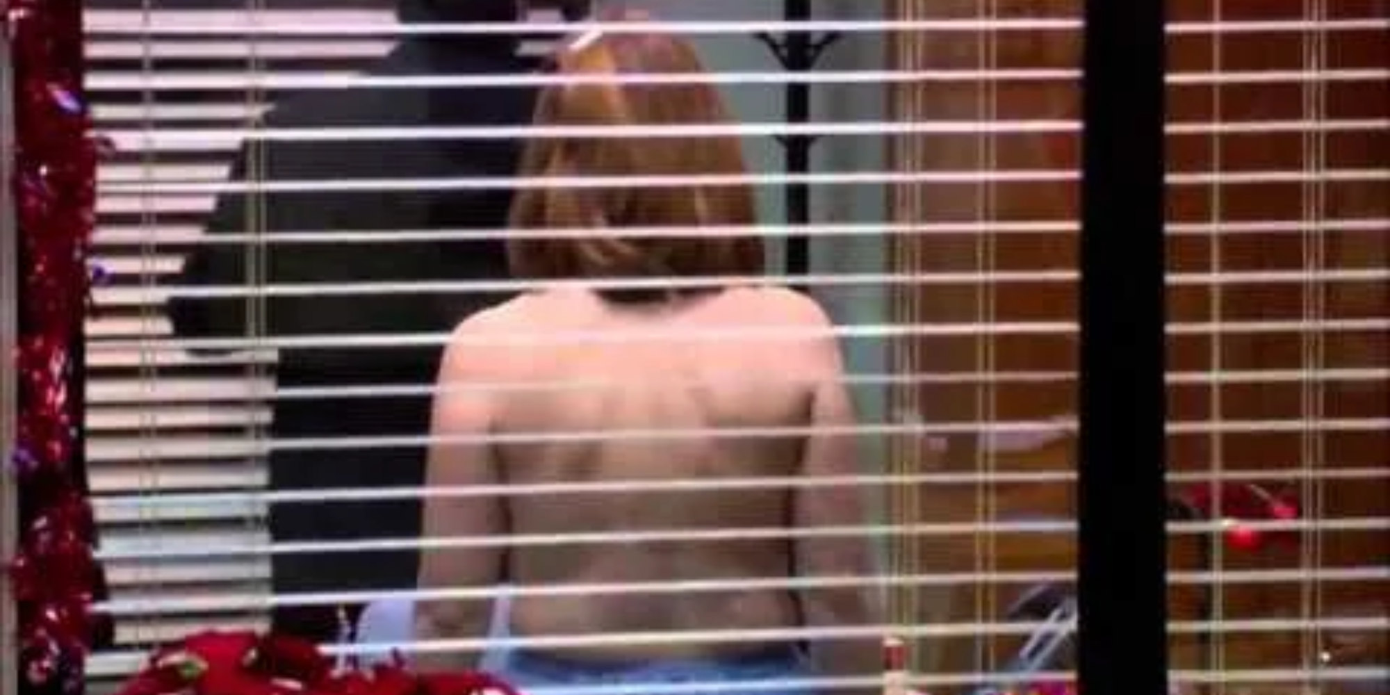 Meredith flashes Michael on The Office