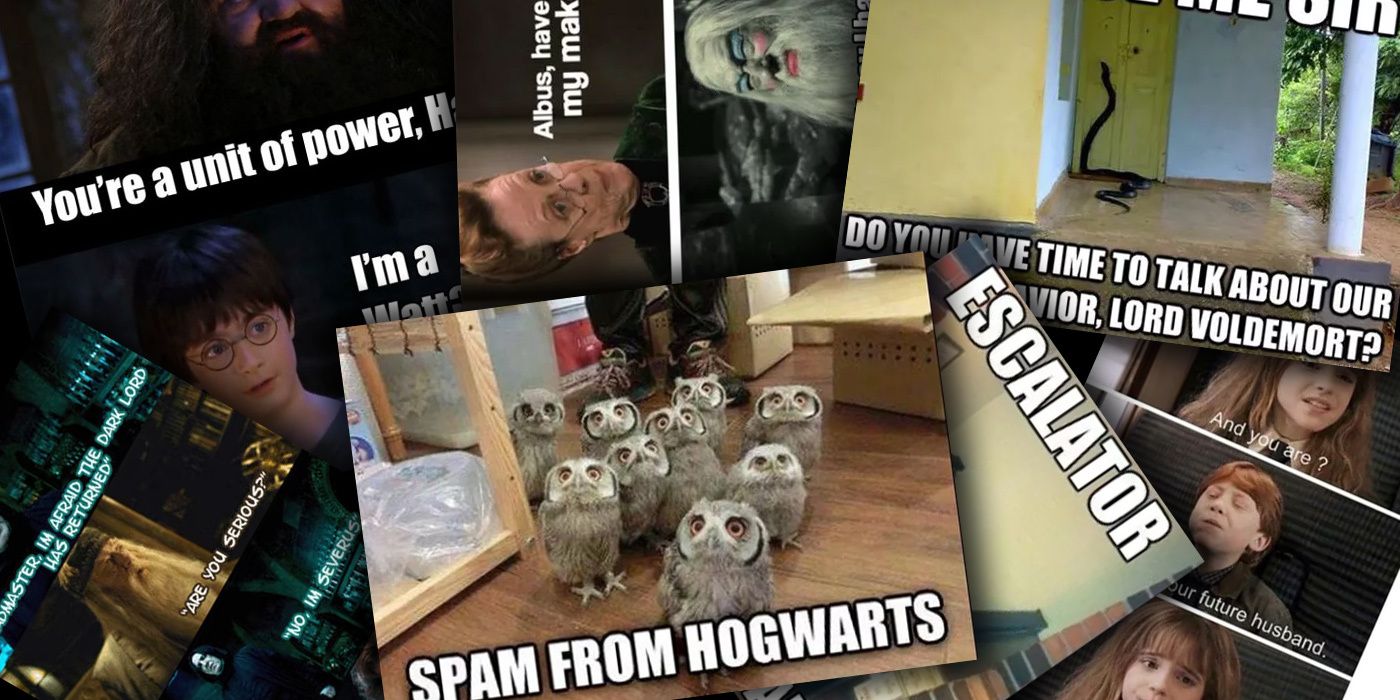 Harry Potter Memes - TRY NOT TO LAUGH 