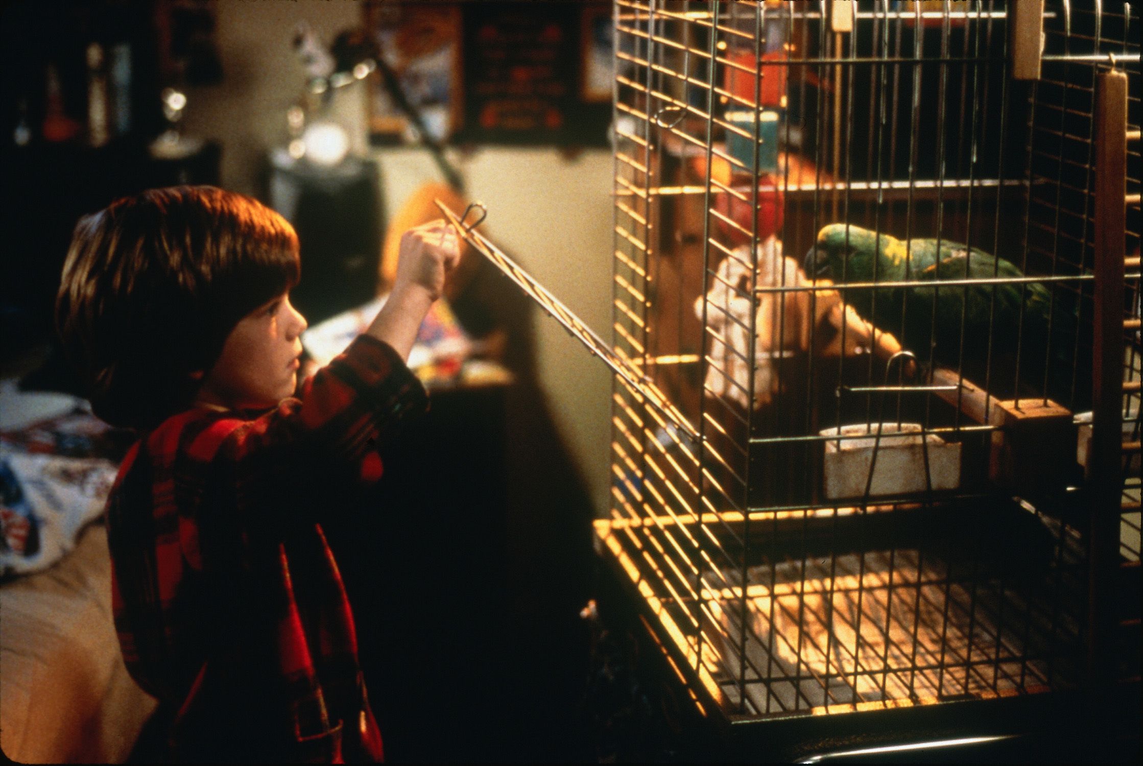 Every Home Alone Movie Ranked by How Crazy the Traps Are