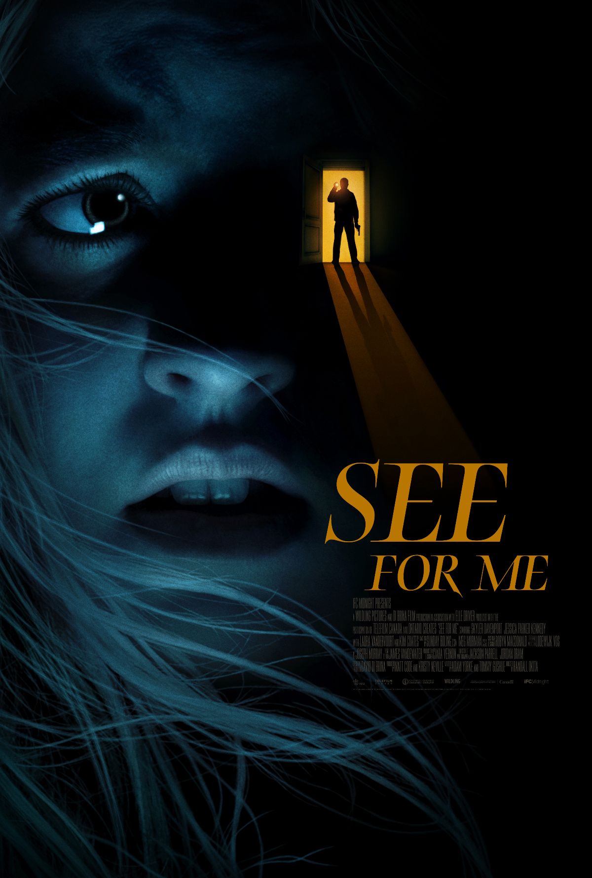 see-for-me-poster