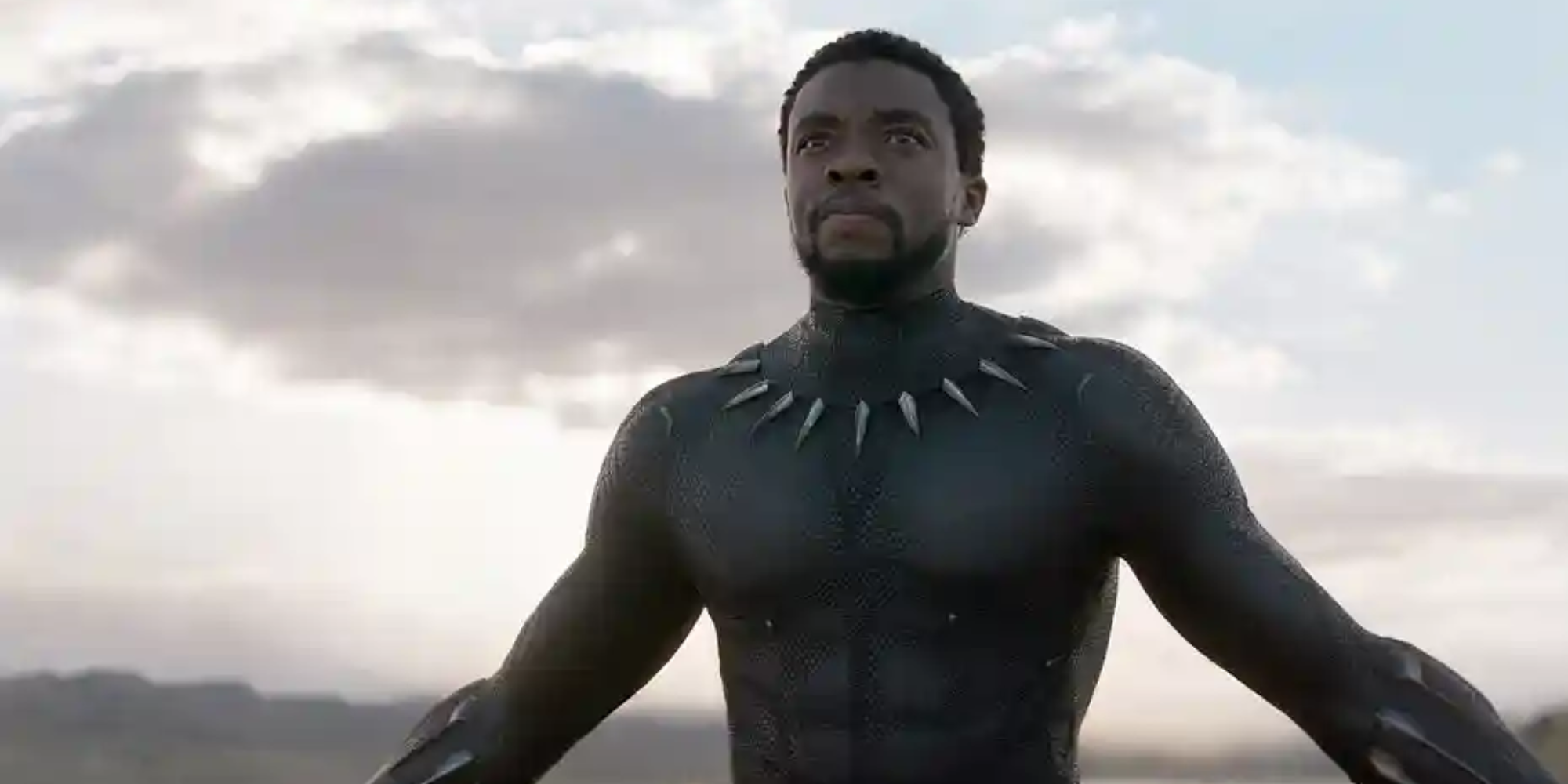 Black Panther Medium Shot