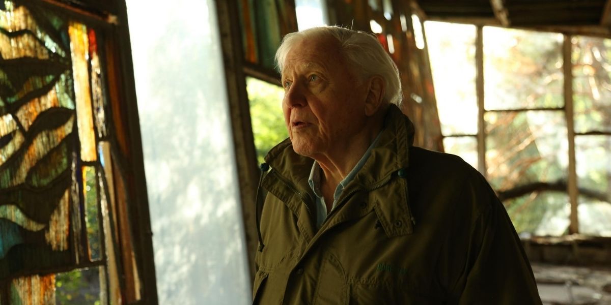 David Attenborough in David Attenborough A Life on Our Planet
