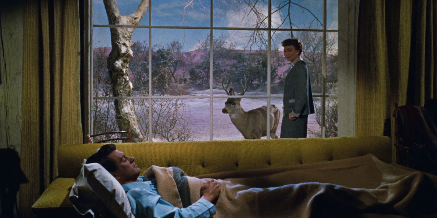 Rock Hudson and Jane Wyman in All That Heaven Allows.