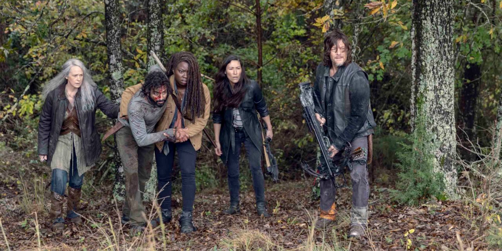 Several survivors stand on the edge of a forest looking to the distance in The Walking Dead.