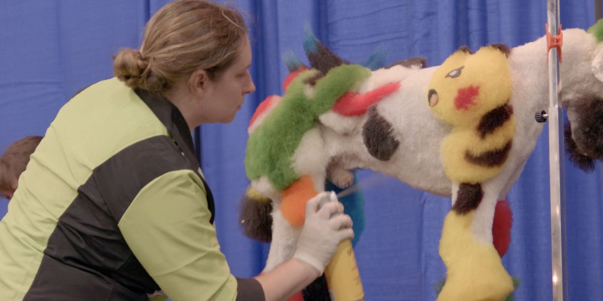 Contestant paints poodle in documentary "Well-Groomed"
