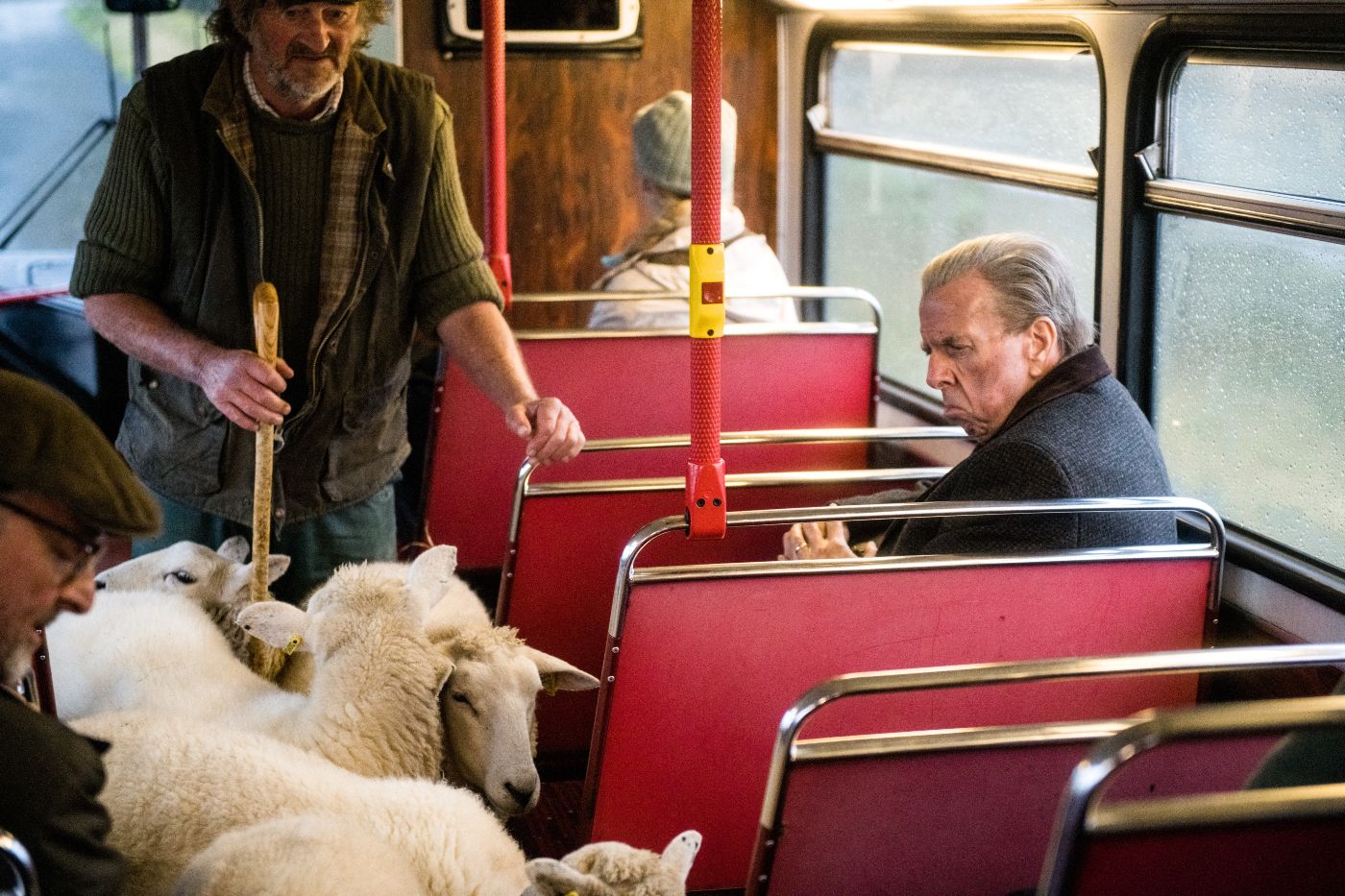 the-last-bus-timothy-spall