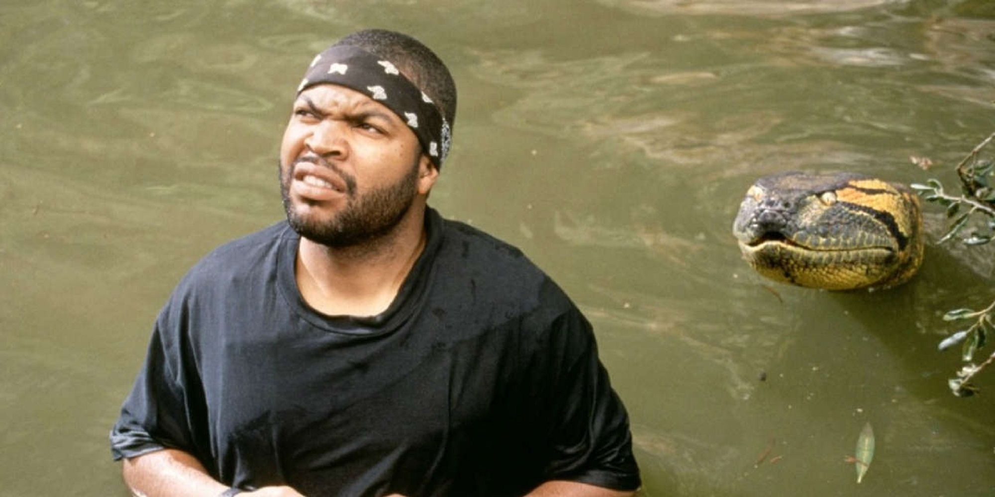 Anconda and Ice Cube