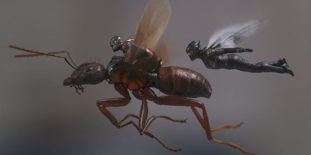 Ant-Man riding a flying ant with Wasp flying beside them