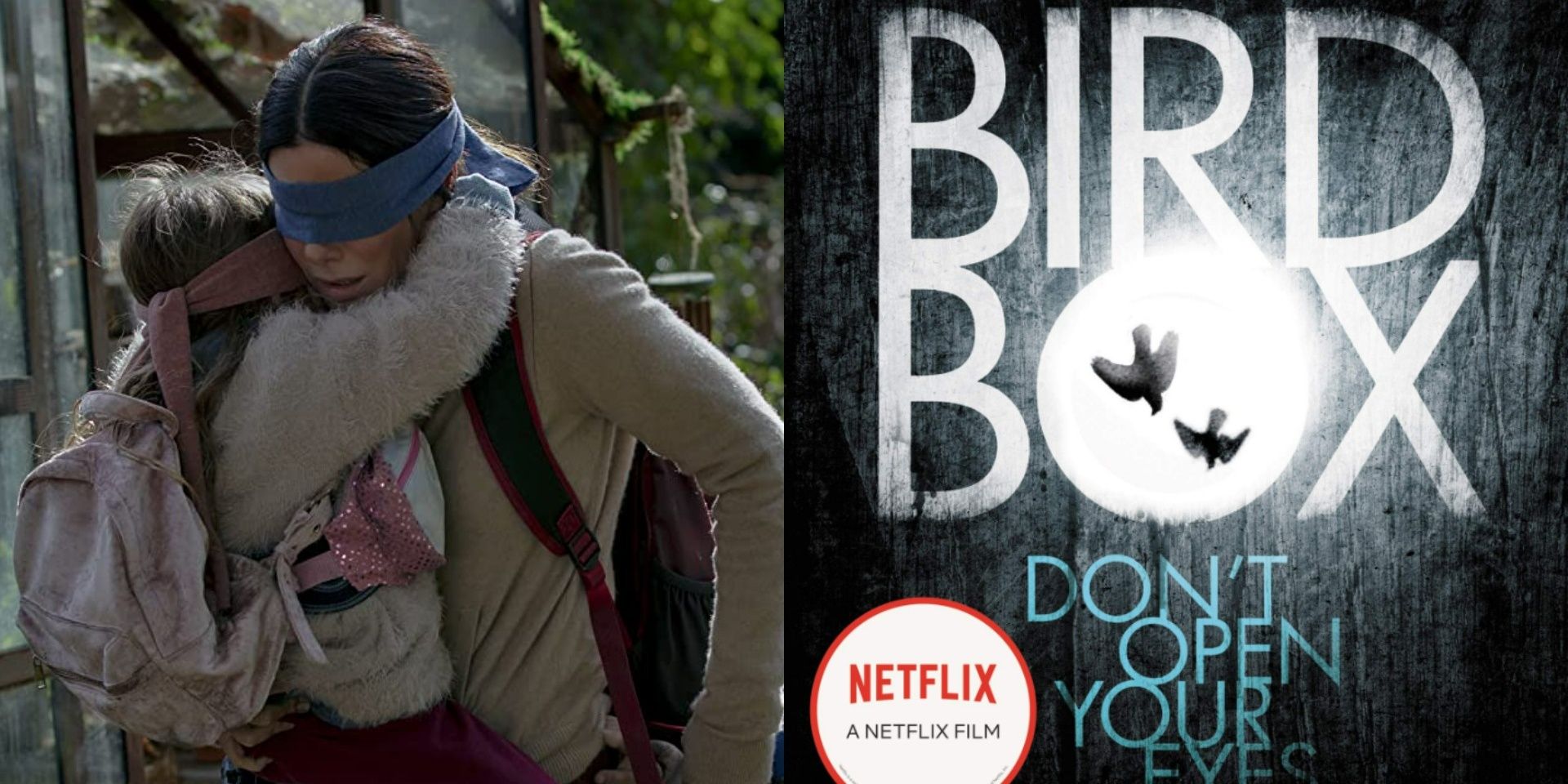 (Left) Malorie holding one of her children, blindfolded / (Right) Bird Box book cover, birds flying