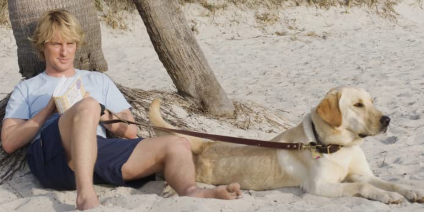 Owen Wilson e seu Golden Retriever (Marley) sentados na praia em Marley & Me