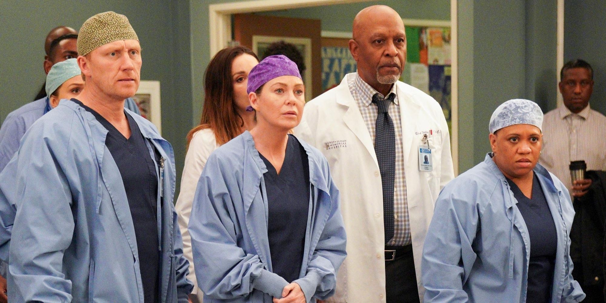 Ellen Pompeo Kevin McKidd Chandra Wilson James Pickens Jr. Grey's Anatomy