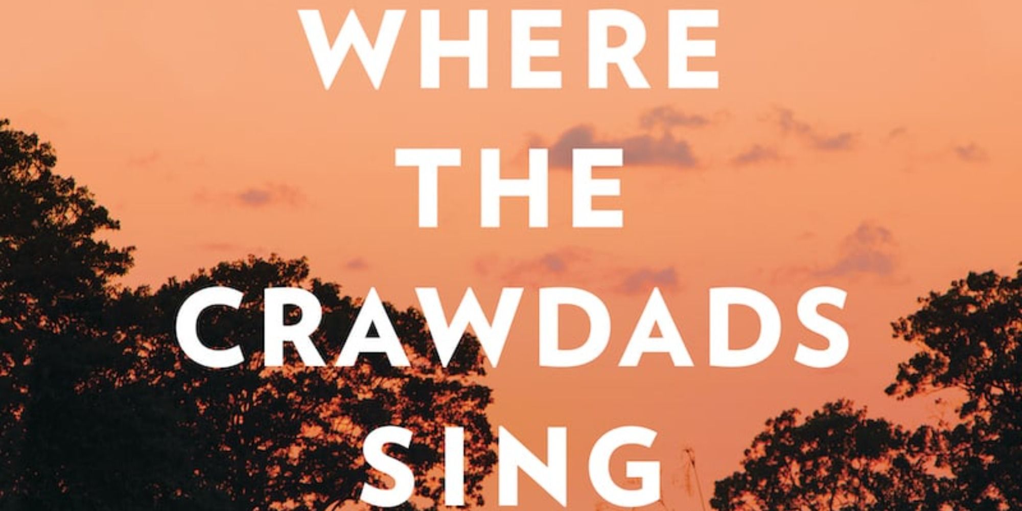 Where the Crawdads Sing Novel