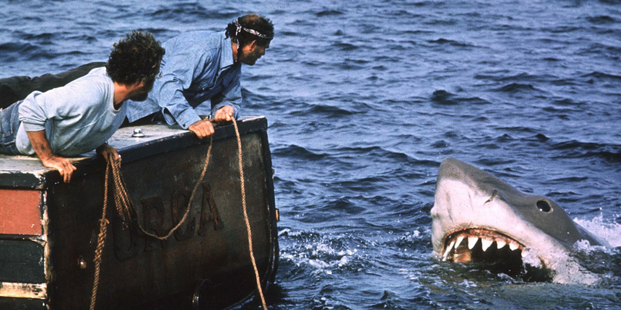 Bruce the shark rearing it's head above the water in still from 'Jaws'