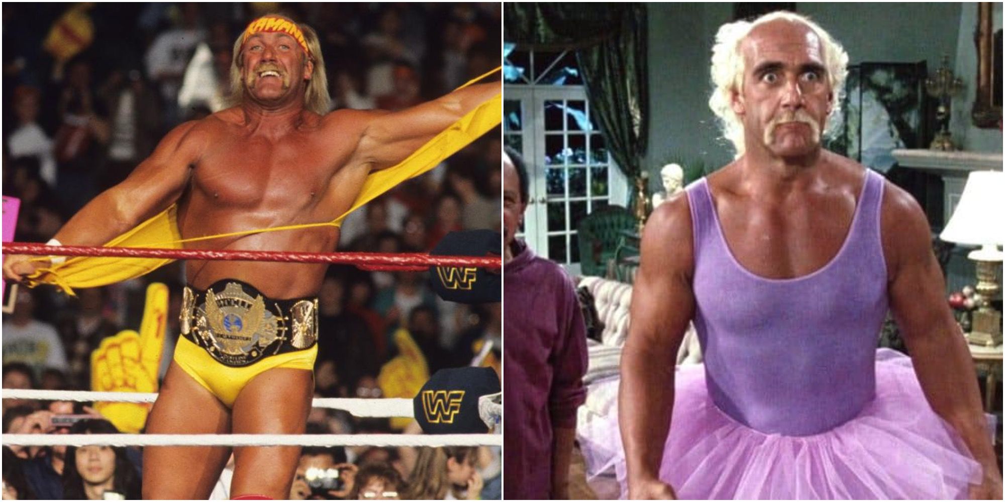 Professional wrestler Hulk Hogan