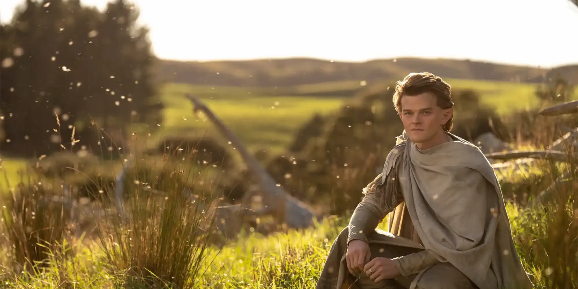Elrond sitting in a field