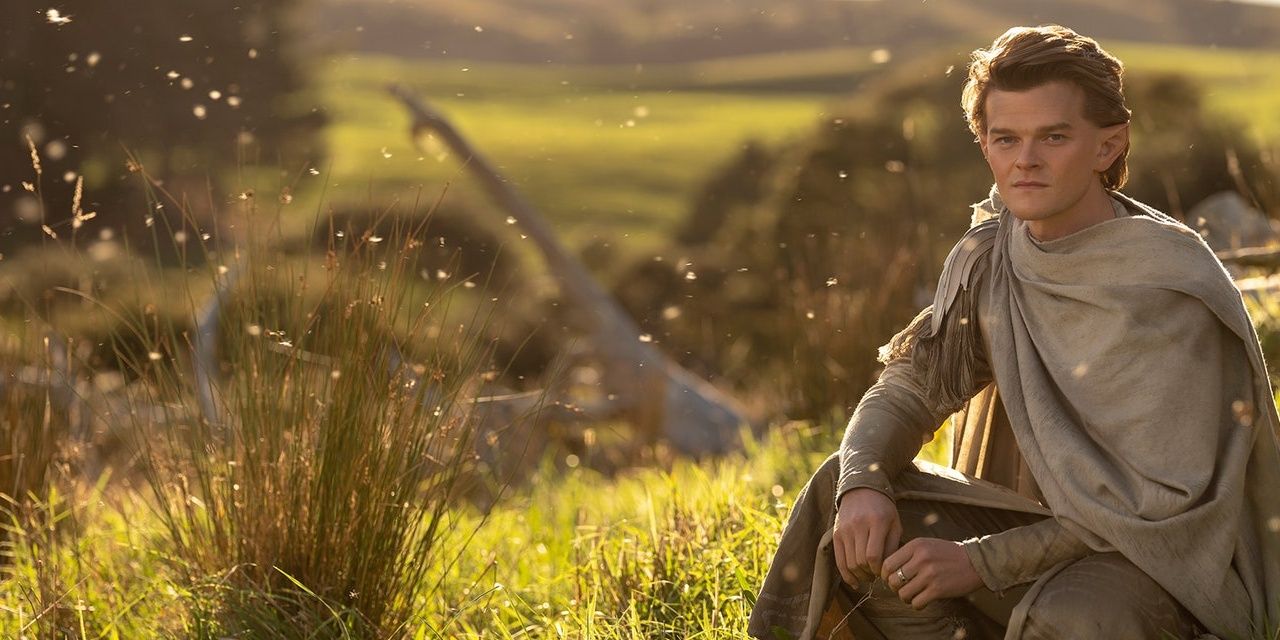 Robert Aramayo as Elrond in Rings of Power in a field