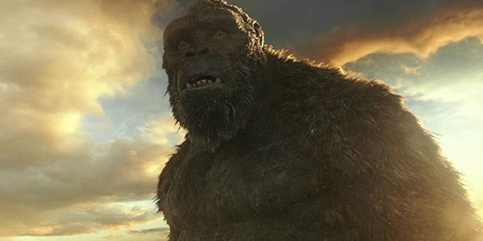 King Kong em 'Godzilla vs.