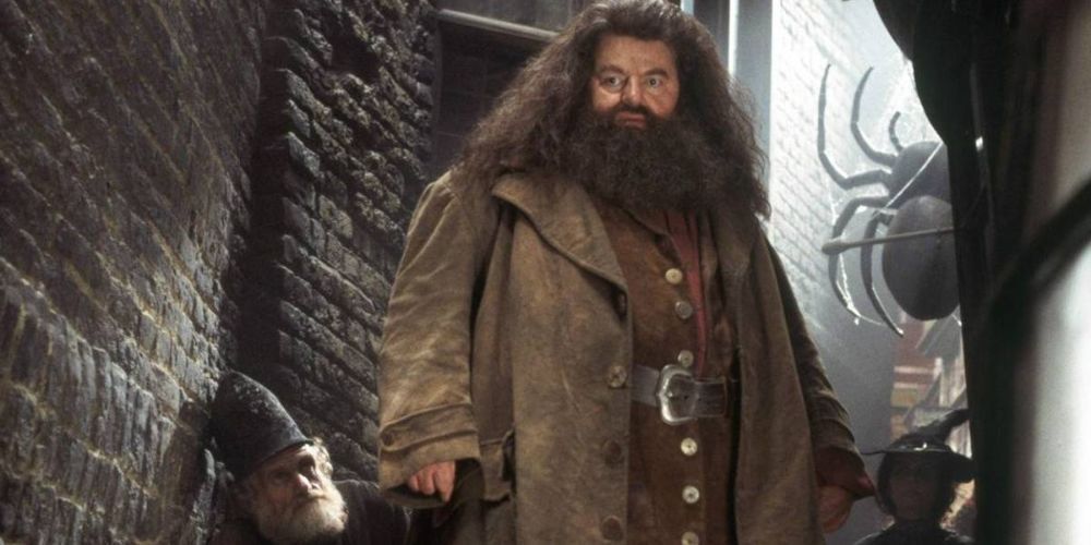 Hagrid se tient dans une ruelle étroite et regarde attentivement un endroit hors champ dans Harry Potter et la Chambre des Secrets.